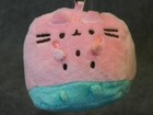 Gund New Pusheen Watermelon Fruits Blind Box Series 21 Open Plush Cat Key Chain