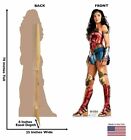 Wonder Woman 1984 Life-size Cardboard Cutout Standup Standee Poster