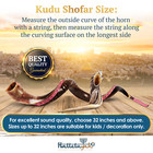 Halleluyah 32 -35  Shofar Set Yemenite Kudu Half Horn Plus Free Bonus Ram Horn