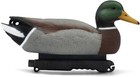 Last Pass Mallard Floaters Decoy 12 Pack