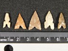 Lot Of Five  Ancient Tidikelt Arrowhead S Gem Points Or Bird Points 4 56