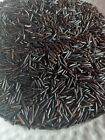 Minnesota Wild Rice 3 Lb Long Grain Cultivated 50 Min Cook Time