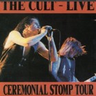 The Cult - Ceremonial Stomp Tour - 1991-92 - Ian Astbury - Photo Pass