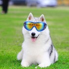  Dog Wind Protection Goggles Doggles For Medium Dogs Eye Protector