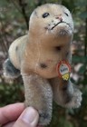 Vintage Original Steiff Robby Steiff Seal W  All Ids Tag Button Steiff Sea Lion