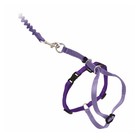 Petsafe Come With Me Kitty Cat Harness And Bungee Leash Lilac Large