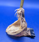 Vintage Rattlesnake Head With Open Mouth   Fangs Collectible Display Hat Tac
