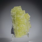 Rare Tasmanian Brucite    Gorgeous Miniature  One Time Find Closed Location