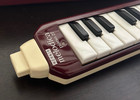 Vintage Hohner Melodica Piano 27 With Case - Made In Germany