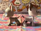 Lps Little Pet Shop Dog Great Dane  577 And Lps Great Dane  1688 Authentic