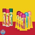 Carmex Daily Care And Daily Care Minis Moisturizing Lip Balm Pack  Spf 15  Mu