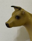 Rare Ideal Jersey Cow Store Counter Display American Cattle Club Dairy Figure