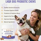 Dog Probiotics Probiotics For Dogs - Digestive Enzymes For Gut Flora  Digestive