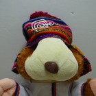 Stuffed Guinea Pig Peruvian Guinea Pig Rainbow Color Hat Belt Hamster