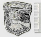 Vietnam War Wide 101st Airborne Choking Screaming Eagles Type 3 Us Army Patch