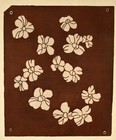 Japanese Vintage Katagami 1930 s Antique Paper Kimono Stencil   Art  rg2836 
