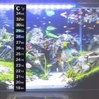 Dual Fish Tank Aquarium Thermometer Temperature Sticker Celsius Fahrenheit   c