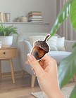 Acorns Die Cut Stickers Set Scrapbooking Laptop Water Bottle