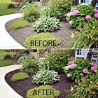 Mulchworx Red Mulch Color Concentrate - 1 Quart Treats 2 800 Sq  Ft 