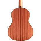 Cordoba Dolce 7 8-size Acoustic Nylon-string Classical Guitar