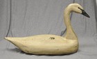 Full Size Tundra Swan Decoy Glass Eyes By Darkfeather Freedman Worn Op Folk Art