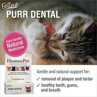 Homeopet Feline Purr Dental Natural Cat Teeth Cleaner 15ml Safe Oral Care