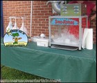 Snow Cone Pump Snowcone Flavor Concentrate Flavor Syrup Gallon Pump  12  Pack