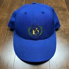 Vintage Burton Snowboards Snapback Hat Cap Blue 90s Embroidered Usa Made
