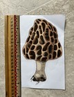 Large Morel Mushroom Vinyl Decal Sticker Car Truck Window Wall Bumper