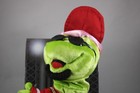 Gemmy Frogz Hip Hop Dancing Frog Jump Around 33 Goatee Sings Dances