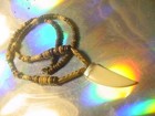 Jade Dragon Tooth Magic Charm Shaman Augury Necklace Bead Beads Ox Skull Skulls