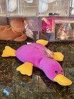 Authentic Fuchsia Patti Platypus Rare Korea Korean 4th 3rd Gen Ty Beanie Baby   