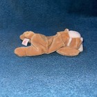 Ty Beanie Baby Wrinkles The Bulldog Brown Stuffed Animal Plush New