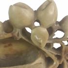 Antique Chinese Hand Carved Soapstone Inkwell Brush Pot Carving Buds