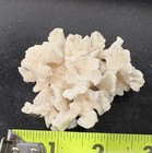 Natural White Coral Reef Specimen 