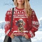 Bg Dachshund Dog Christmas Sweater  Funny Pet Ugly Sweater  Dog Lover Holiday Sw