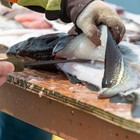 Swiss tech 7  Stainless Steel Fillet Knife Fishing Knife For Filleting Boning Us