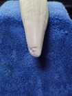    4 Whale Tooth  Imitation Polyurethane  Scrimshaw  Engraving  