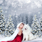 Winter Scene Backdrop Snowy Christmas Pine Tree Halo Spots Photography Backgroun