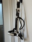 Leather Show Horse Halter W  Chain Lead  Black silver  Western Style Full Size
