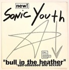 Sonic Youth Experimental Jet Set Poster 1994 Promo Flat 12 X 12 Trash Star Rare