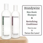 Brandywine Non Static Shampoo   Revitalizing Conditioner - 16 Oz Each