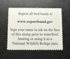 Wtdstamps -  rw92 2025 - Us Federal Duck Stamp   adam Grimm      well Centered  