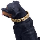 Gold Dog Collar Solid Stainless Steel Dog Choke Big Dog Outdoor Walking Chain