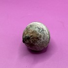 Bronze  Copper Crotal Bell Complete Rare 17th 18th Century Metal Detecting Find 