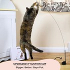 Whiskertons Interactive Bird Cat Toy Set  Suction Base  5 Replacements