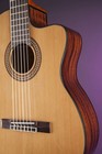 Takamine Jasmine Acoustic electric Guitar Classical Cutaway - Natural
