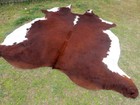 New Large Hereford Brown Cowhide Rug Natural Cowhides Cow Hide Skin 6x6 Feet Whr