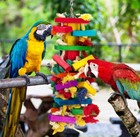 Mewtogo Extra Large Bird Parrot Toys For Macaws  African Grey  Amazon Parrots