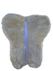 Premium Quality  Corection Saddle Half Pad Rolled With Sheepskin Spine  Free